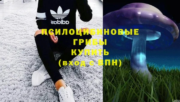 прущие крисы Алзамай